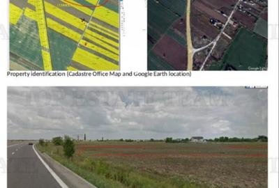 Teren de 8700 mp, în Adunații-Copăceni - 5