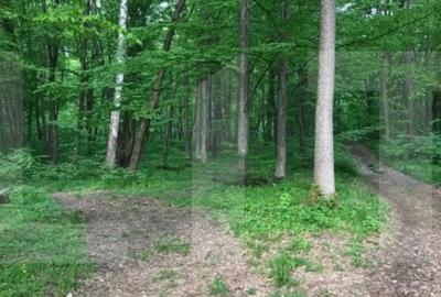 Teren de 1100 mp, în Făget - 3