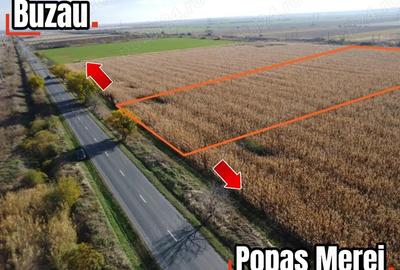 Comision 0! Teren 6800 mp, foarte aproape de de autostrada - 2