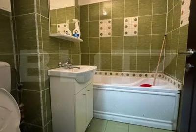 Garsoniera de 26 mp - Petre Ispirescu - 4