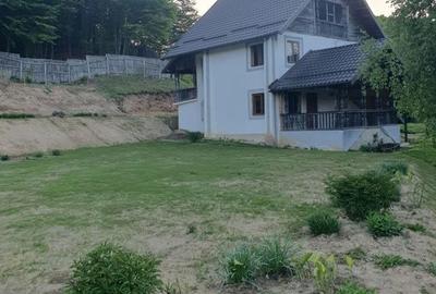 Casă cu 5 camere cu Teren 4000 Mp în Cricău - 2