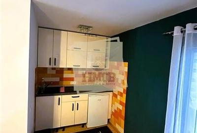 Apartament 2 camere si Terasa in Sibiu - 11