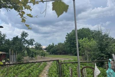 Casă cu 4 camere în Comana - 8