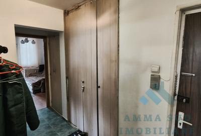 Apartament cu 3 camere semidecomandat, mobilat în Ozana - 6