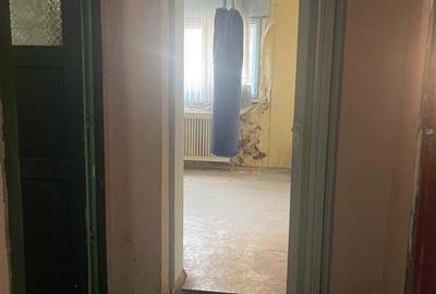 Duplex cu 10 camere cu Canalizare în Pache Protopopescu - 10