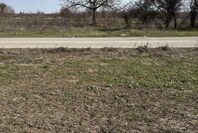 Teren de 2500 mp, în Grădiștea - 3