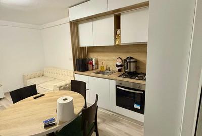 Apartament cu 2 camere, mobilat în Remetea Mare - 2