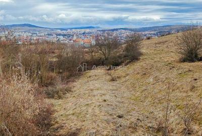 Spațiu comercial, în Aurel Vlaicu - 1