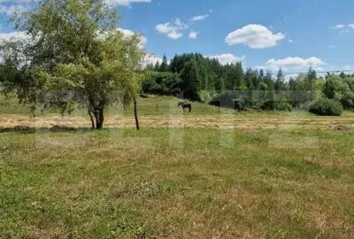 Casă cu 4 camere cu Teren 5600 Mp în Central