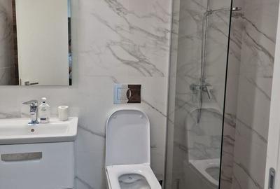 Piata Unirii Apart nou finisaje lux  131 mp plus curte 200 mp garaj - 23