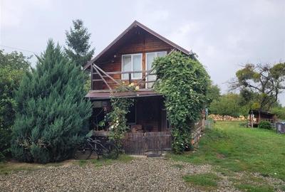 FILM! Resedinte montane,mobilate,echipate, jacuzzi,piscina,pretios areal,Sambata - 23