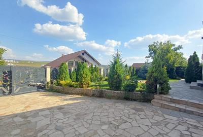 VILĂ CU 5 CAMERE - 150 MP UTILI - BECI, GARAJ, 717 MP TEREN, VIȘAN-BUCIUM - 19