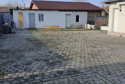 Casa si curte la Jimbolia - 4