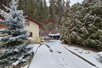 Vilă de lux cu 4 camere de vânzare în Câmpulung Moldovenesc, Suceava - 51