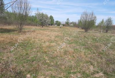 Teren intravilan 2700 mp pe Valea Avrigului localitate Avrig - 3