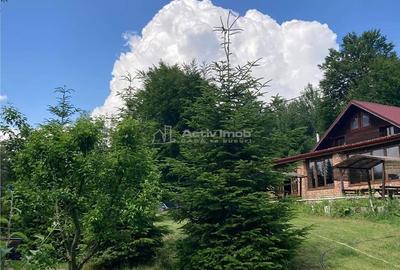 Spațiu comercial, de 800 mp, în Zemeș - 9