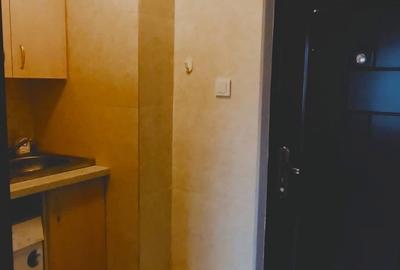 Garsonieră nedecomandată, mobilată în Complex Studențesc - 5