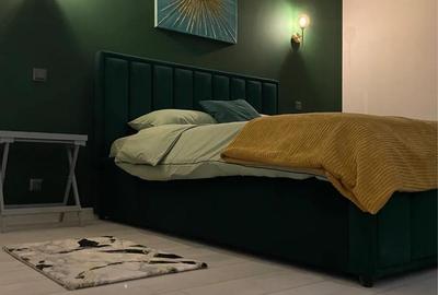 Garsonieră decomandată în Dristor - 7