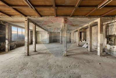 Spațiu industrial, de 550 mp, în Aradul Nou - 3