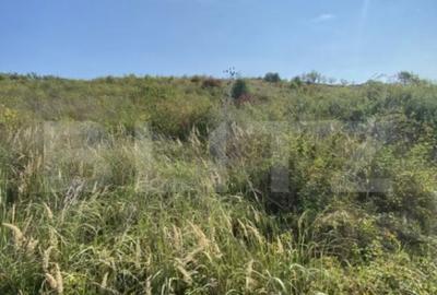 Teren de 3800 mp, în Crișeni - 2