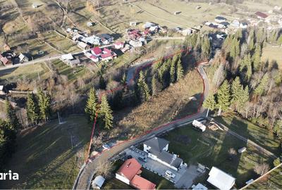 Teren de 14927 mp, în Vatra Moldoviței - 6