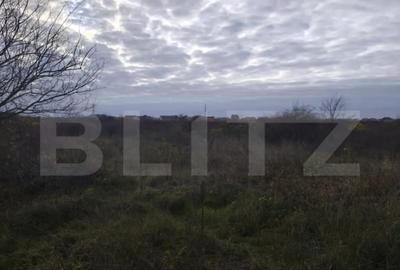 Teren de 10925 mp, în Sânmartin - 2