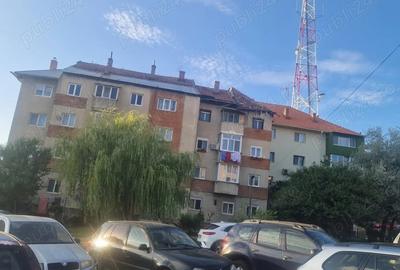 Apartament 3 camere - 11