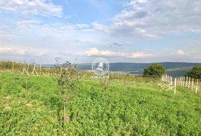 Teren de 6800 mp, în Mogoșești - 19