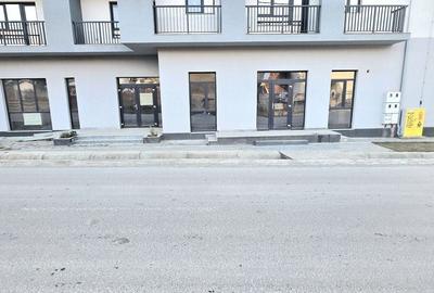 Spațiu comercial, de 100 mp, în Vișan - 10