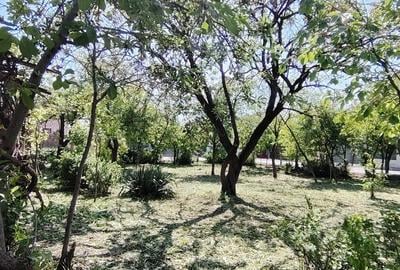 Casă cu 2 camere în Turda