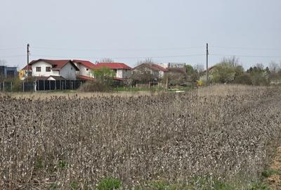 Teren Construcții intravilan de 4783 mp, în Ciolpani - 1