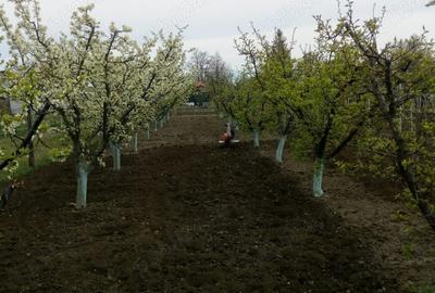 Casa batraneasca de vanzare - 1