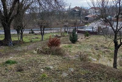 Casă cu 2 camere cu Teren 4115 Mp în Livezi - 4