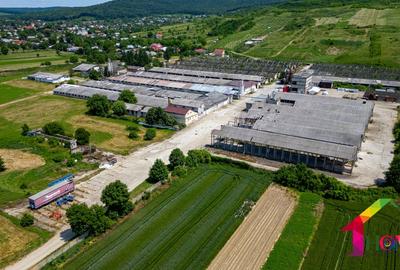 Teren 100.000 mp + Spatii Industriale Bacau - 7