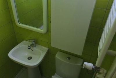 Decebal 3 Camere Decomandat Pet Friendly - 16