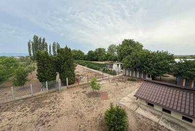 Casă cu 4 camere în Garoafa - 6