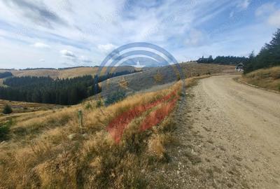 Teren de 1000 mp, în Central - 2