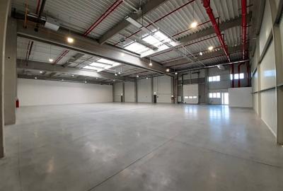 Închiriere spațiu de producție sau depozitare 905 mp - 2