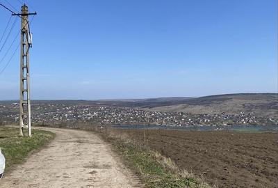 Teren de 3755 mp, în Șorogari - 7