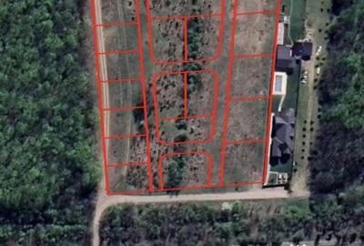 Apartament în Snagov - 1