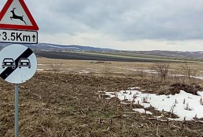 Teren Construcții intravilan de 800 mp, în Scânteia - 3