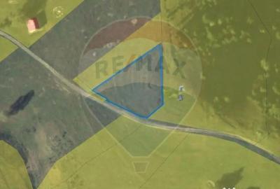 Teren de 1924 mp, în Șirnea