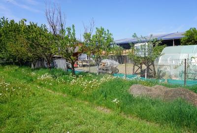 Teren Construcții intravilan de 4076 mp, în Sarasău - 13