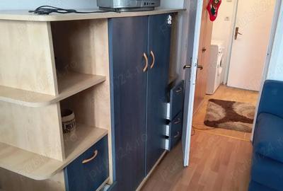 Apartament cu 2 camere semidecomandat în Terezian