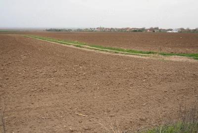 Teren de 10000 mp, în Umbrărești - 1