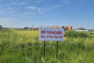 Teren intravilan Malu Mare zona Selgros Teren intravilan Malu Mare zona Selgros - 1