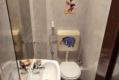 Apartament cu 3 camere decomandat în Astra - 11