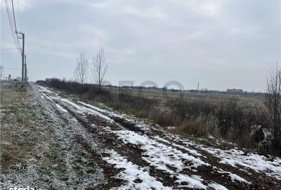 Spațiu comercial, în Inand - 6