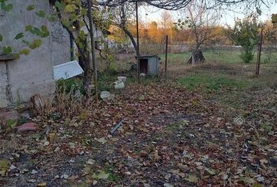 RECO Casa 3 camere, Alparea - 4