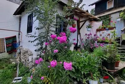 Casă cu 4 camere cu Teren 240 Mp în Chiajna - 2